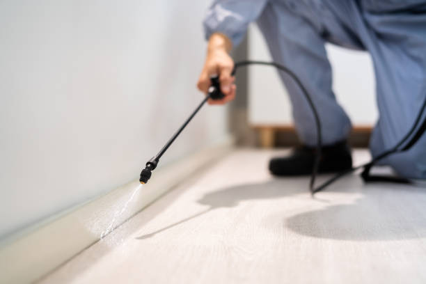 Certified termite inspector examining foundation in Clarkston