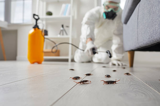 Post-Treatment Bed Bug Interceptor Monitoring in Clarkston